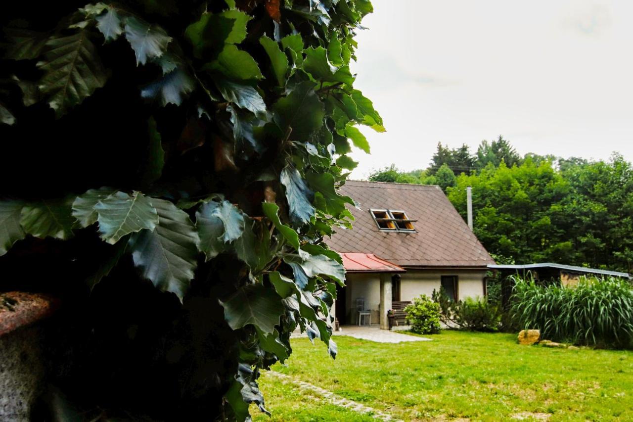 Villa Chaloupka Zdarky Exterior foto